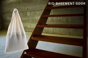 Rid-Basement-Odor