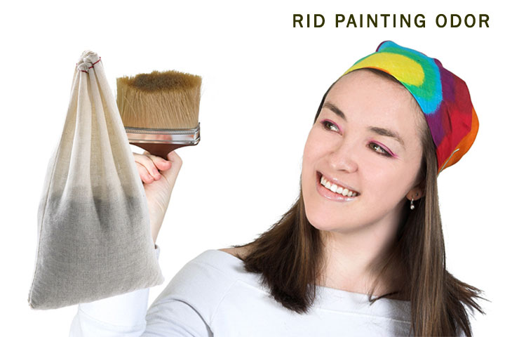 Rid-Painting-Odor