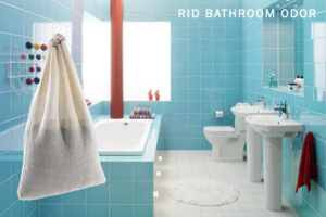 Rid-Bathroom-Odor