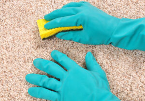 Choosing-Carpet-Cleaning-Products